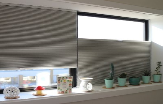 blinds