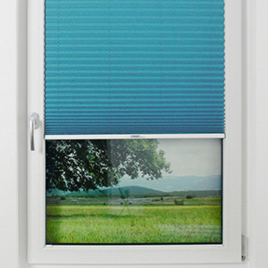 Pleated Shade 1810 (2/5)