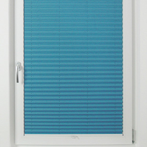 Pleated Shade 1810 (3/5)
