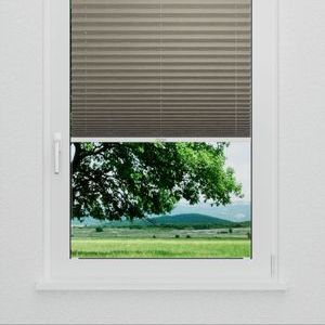 Pleated Shade 4216 (2/5)