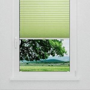 Pleated Shade 4221 (2/5)
