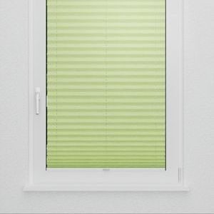 Pleated Shade 4221 (3/5)