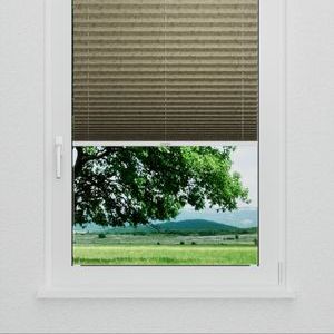 Pleated Shade 4152 (2/5)