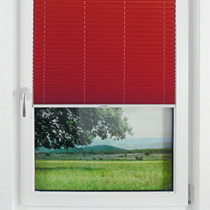 Pleated Shade 1816 (2/5)
