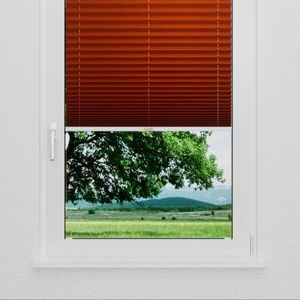 Pleated Shade 1817 (2/5)