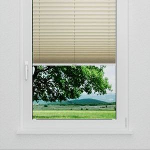 Pleated Shade 3517 (2/5)