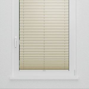 Pleated Shade 3517 (3/5)