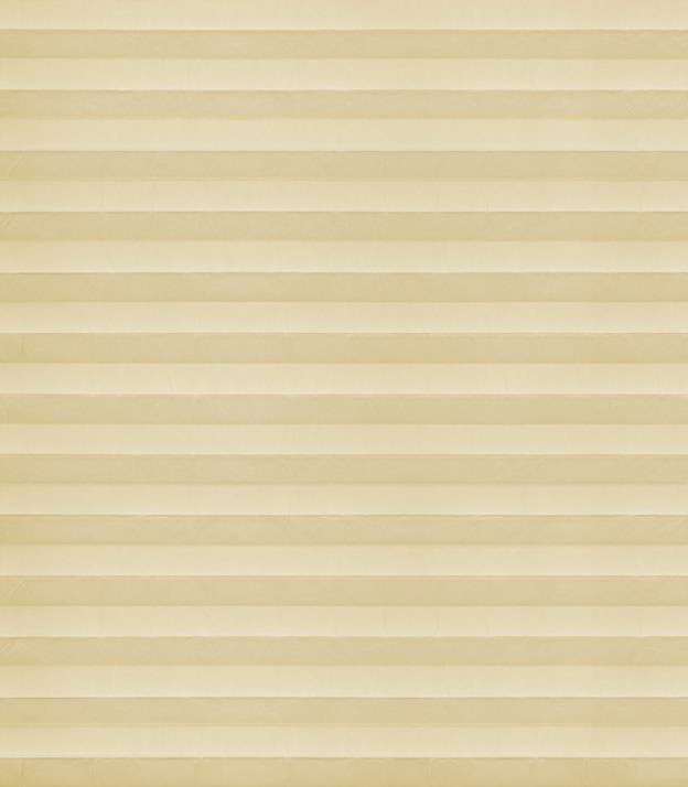 Pleated Shade 3517 (5/5)