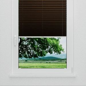 Pleated Shade 3565 (2/5)