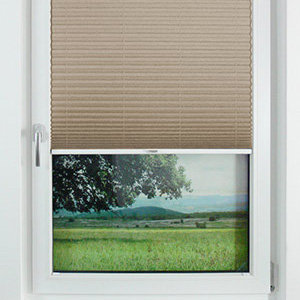 Pleated Shade 3101 (2/5)