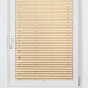 Pleated Shade 1209 (3/5)