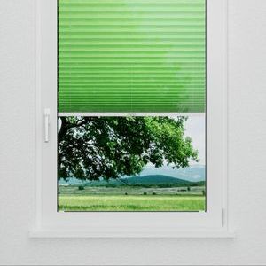 Pleated Shade 1902 (2/5)