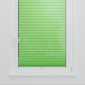 Pleated Shade 1902 (3/5)