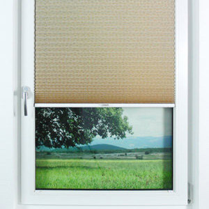 Pleated Shade 6204 (2/4)