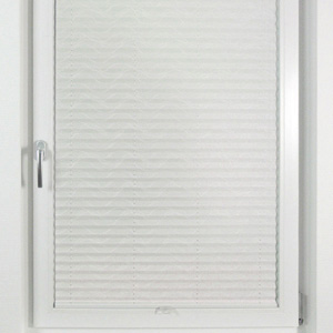Pleated Shade 9503 (3/5)