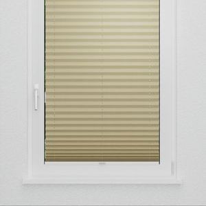 Pleated Shade 4211 (3/5)