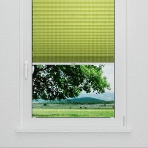 Pleated Shade 3212 (2/5)