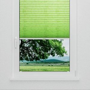 Pleated Shade 3302 (2/5)