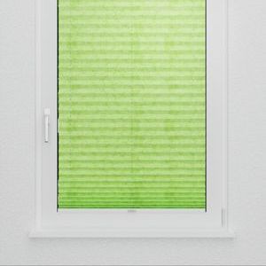Pleated Shade 3302 (3/5)