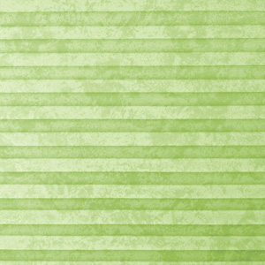 Pleated Shade 3302 (5/5)