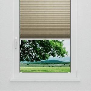 Pleated Shade 4108 (2/5)