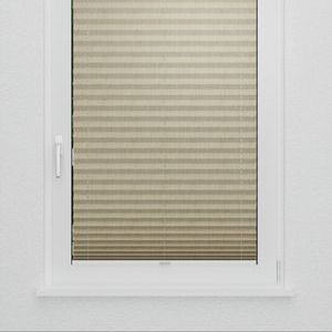 Pleated Shade 4108 (3/5)