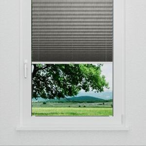 Pleated Shade 4109 (2/5)
