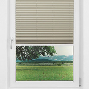 Pleated Shade 1321 (2/5)