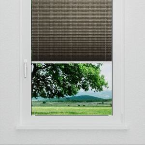 Pleated Shade 3115 (2/5)