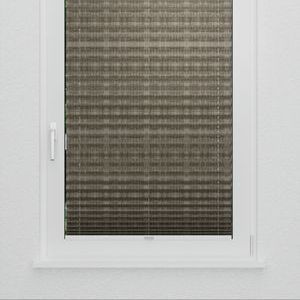 Pleated Shade 3115 (3/5)