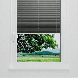 Pleated Shade 0212 (2/5)