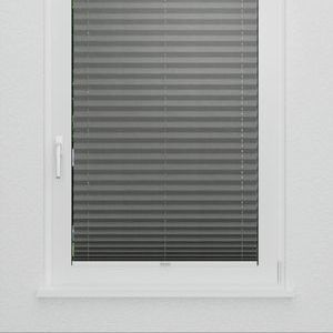 Pleated Shade 0212 (3/5)