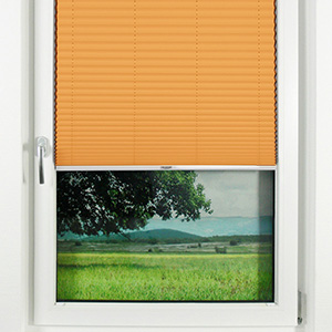 Pleated Shade 1212 (2/5)