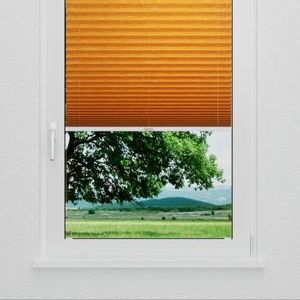 Pleated Shade 0713 (2/5)