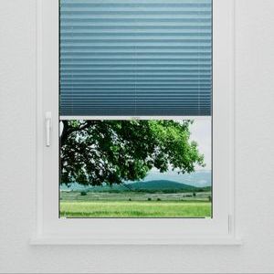 Pleated Shade 1121 (2/5)