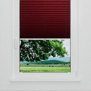 Pleated Shade 1421 (2/5)