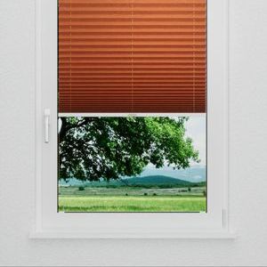 Pleated Shade 1721 (2/5)