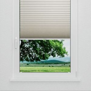 Pleated Shade 0314 (2/5)
