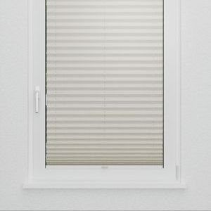 Pleated Shade 0314 (3/5)