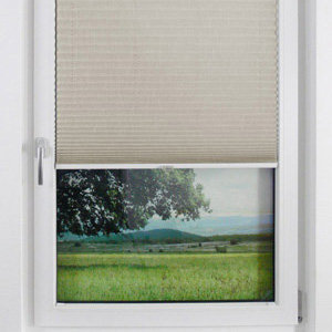 Pleated Shade 3413 (2/5)